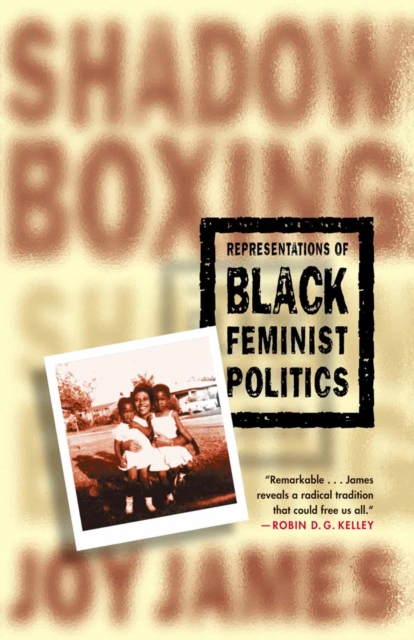 Shadowboxing : Representations of Black Feminist Politics, PDF eBook