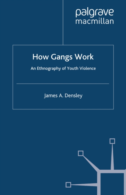 How Gangs Work : An Ethnography of Youth Violence, PDF eBook