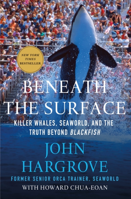 Beneath the Surface : Killer Whales, SeaWorld, and the Truth Beyond Blackfish, Hardback Book