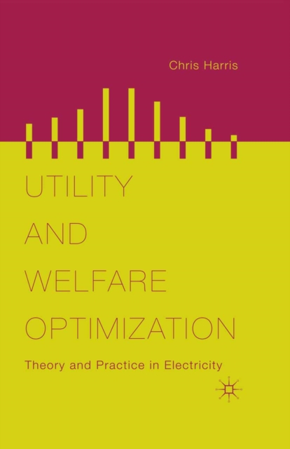 Utility and Welfare Optimization : Theory and Practice in Electricity, PDF eBook