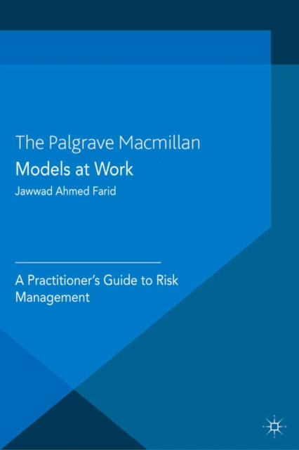 Models at Work : A Practitioner's Guide to Risk Management, PDF eBook