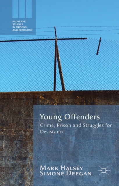 Young Offenders : Crime, Prison and Struggles for Desistance, PDF eBook
