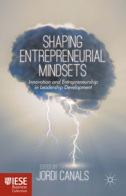 Shaping Entrepreneurial Mindsets : Innovation and Entrepreneurship in Leadership Development, PDF eBook