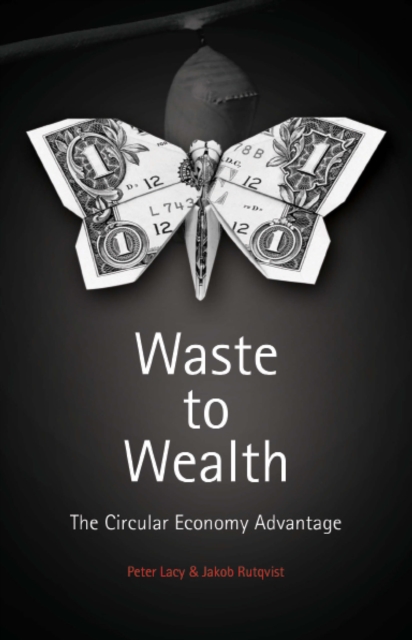 Waste to Wealth : The Circular Economy Advantage, PDF eBook