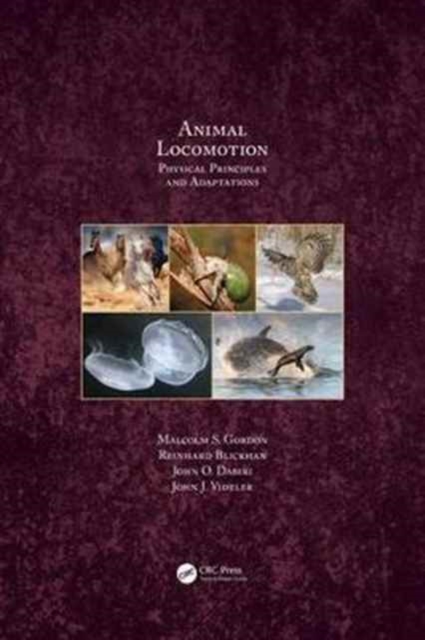 Animal Locomotion : Physical Principles and Adaptations, Hardback Book