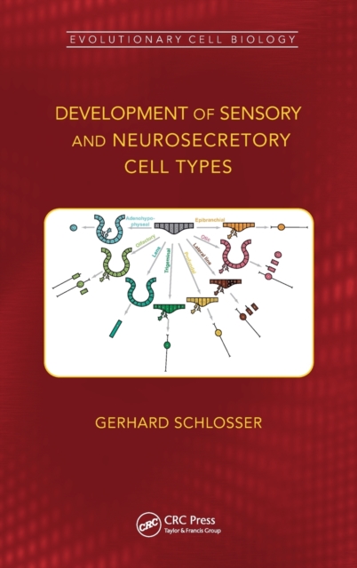 Development of Sensory and Neurosecretory Cell Types : Vertebrate Cranial Placodes, volume 1, Hardback Book