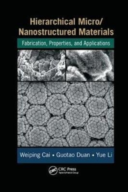 Hierarchical Micro/Nanostructured Materials : Fabrication, Properties, and Applications, Paperback / softback Book