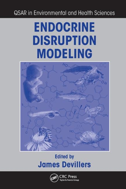 Endocrine Disruption Modeling, Paperback / softback Book