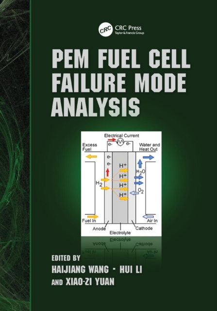 PEM Fuel Cell Failure Mode Analysis, Paperback / softback Book