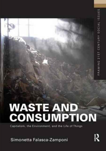 Waste and Consumption : Capitalism, the Environment, and the Life of Things, Hardback Book