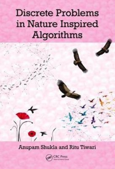 Discrete Problems in Nature Inspired Algorithms, Hardback Book