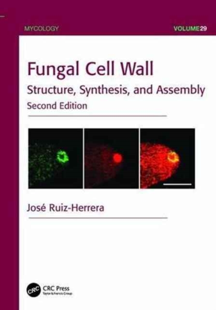 Fungal Cell Wall : Structure, Synthesis, and Assembly, Second Edition, Paperback / softback Book