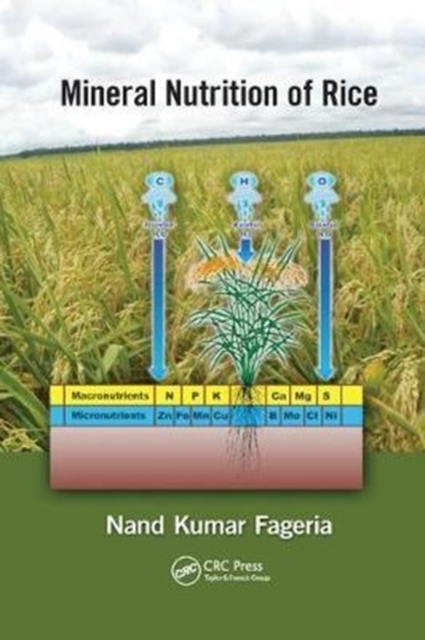 Mineral Nutrition of Rice, Paperback / softback Book