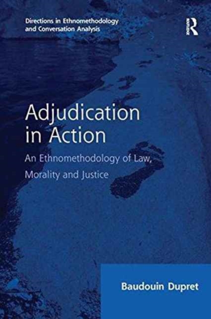 Adjudication in Action : An Ethnomethodology of Law, Morality and Justice, Paperback / softback Book
