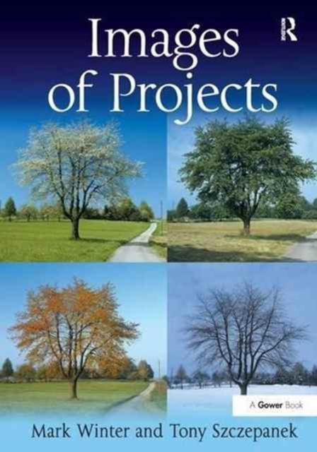 Images of Projects, Paperback / softback Book