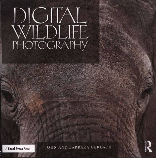 Digital Wildlife Photography, Paperback / softback Book