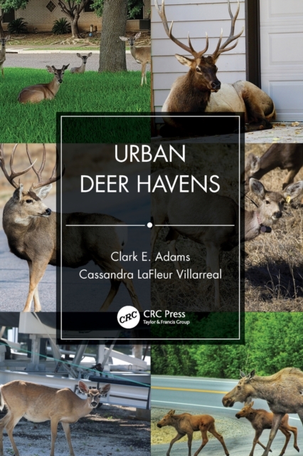 Urban Deer Havens, Paperback / softback Book