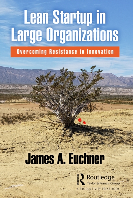 Lean Startup in Large Organizations : Overcoming Resistance to Innovation, Paperback / softback Book