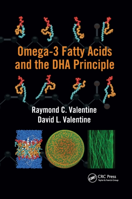 Omega-3 Fatty Acids and the DHA Principle, Paperback / softback Book