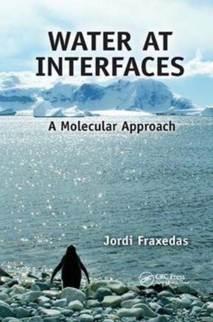 Water at Interfaces : A Molecular Approach, Paperback / softback Book
