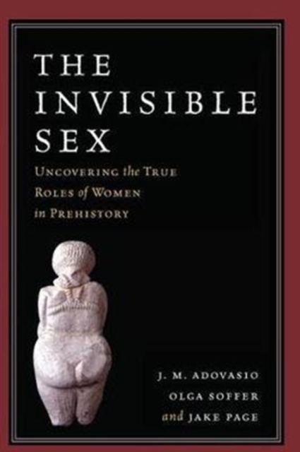 The Invisible Sex : Uncovering the True Roles of Women in Prehistory, Hardback Book