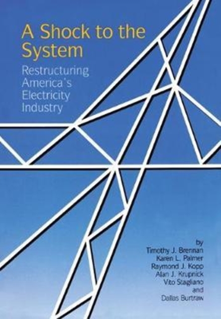 A Shock to the System : Restructuring America's Electricity Industry, Hardback Book