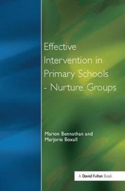 Effect Intervention in Primary School, Hardback Book