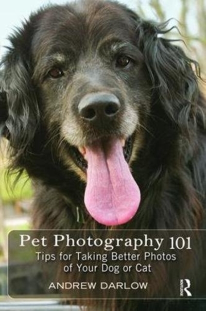 Pet Photography 101 : Tips for taking better photos of your dog or cat, Hardback Book