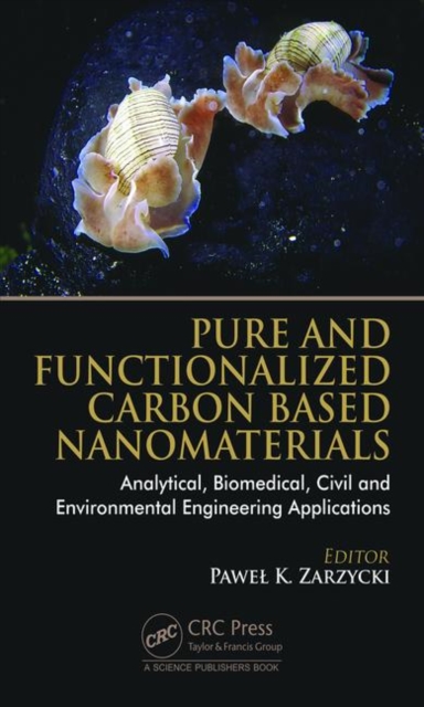 Pure and Functionalized Carbon Based Nanomaterials : Analytical, Biomedical, Civil and Environmental Engineering Applications, Hardback Book