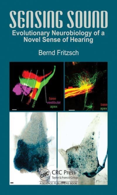 Sensing Sound : Evolutionary Neurobiology of a Novel Sense of Hearing, Hardback Book