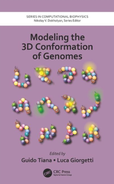 Modeling the 3D Conformation of Genomes, Hardback Book
