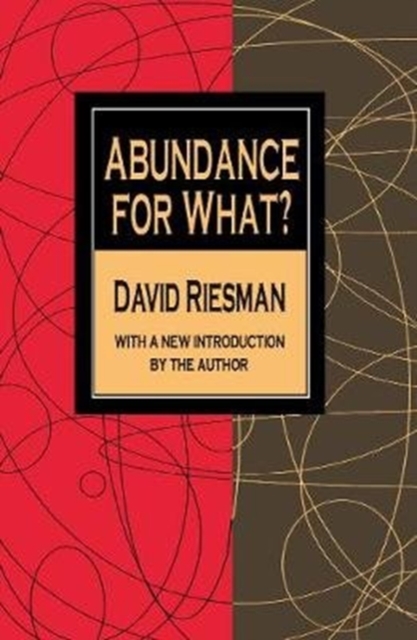 Abundance for What?, Hardback Book