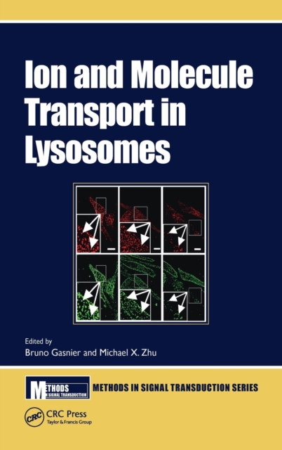 Ion and Molecule Transport in Lysosomes, Hardback Book