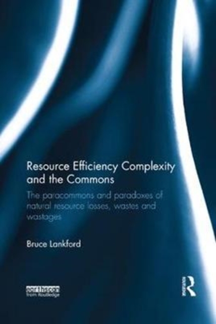 Resource Efficiency Complexity and the Commons : The Paracommons and Paradoxes of Natural Resource Losses, Wastes and Wastages, Paperback / softback Book