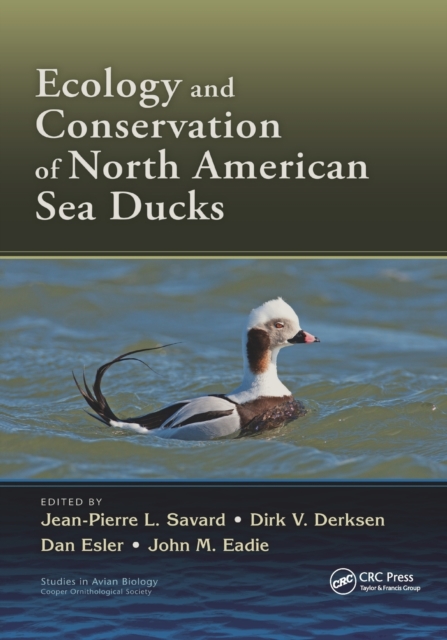Ecology and Conservation of North American Sea Ducks, Paperback / softback Book