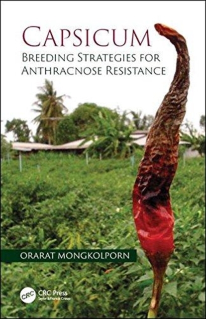 Capsicum : Breeding Strategies for Anthracnose Resistance, Hardback Book