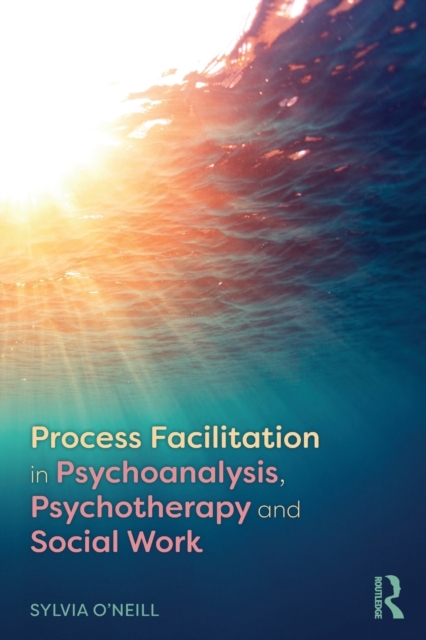 Process Facilitation in Psychoanalysis, Psychotherapy and Social Work, Paperback / softback Book