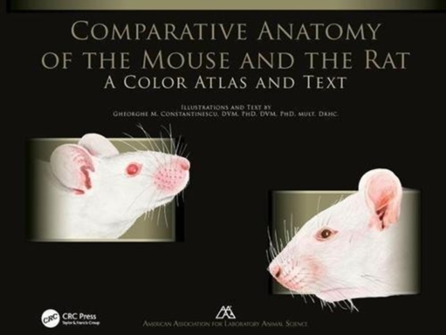 Comparative Anatomy of the Mouse and the Rat : A Color Atlas and Text, Paperback / softback Book