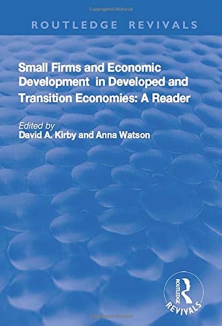 Small Firms and Economic Development in Developed and Transition Economies : A Reader, Paperback / softback Book