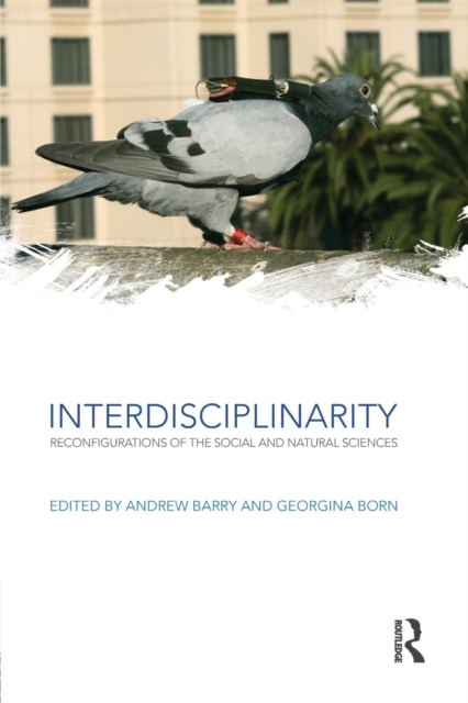 Interdisciplinarity : Reconfigurations of the Social and Natural Sciences, Paperback / softback Book
