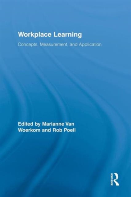 Workplace Learning : Concepts, Measurement and Application, Paperback / softback Book