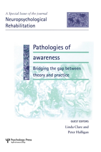 Pathologies of Awareness: Bridging the Gap between Theory and Practice : A Special Issue of Neuropsychological Rehabilitation, Paperback / softback Book