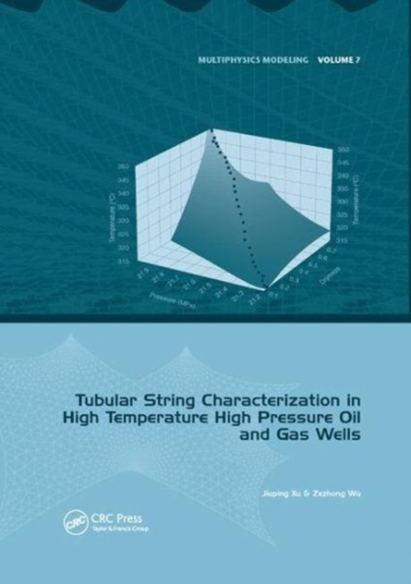 Tubular String Characterization in High Temperature High Pressure Oil and Gas Wells, Paperback / softback Book