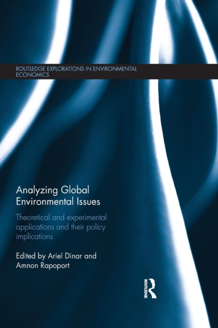Analyzing Global Environmental Issues : Theoretical and Experimental Applications and their Policy Implications, Paperback / softback Book