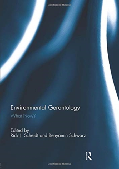 Environmental Gerontology : What Now?, Paperback / softback Book