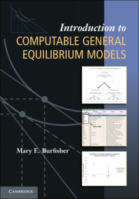 Introduction to Computable General Equilibrium Models, PDF eBook