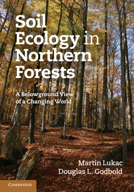 Soil Ecology in Northern Forests : A Belowground View of a Changing World, EPUB eBook