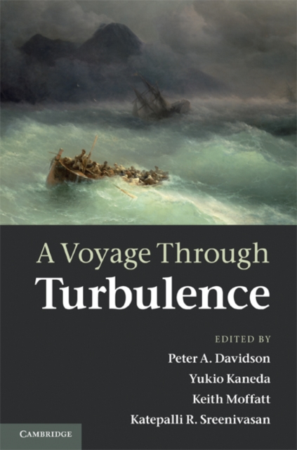 A Voyage Through Turbulence, PDF eBook