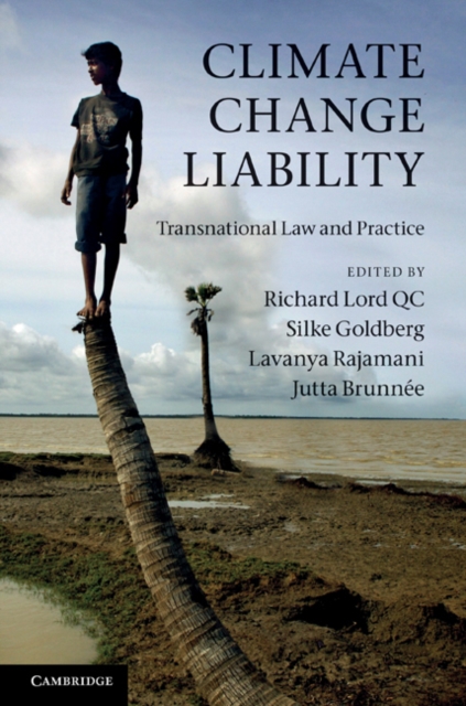 Climate Change Liability : Transnational Law and Practice, EPUB eBook