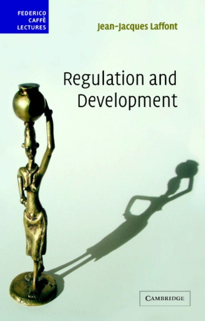 Regulation and Development, PDF eBook